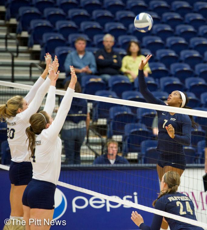 Pitt Volleyball Vs Georgia Tech 8 The Pitt News 