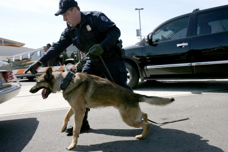 Officer Steven Piel and his bomb sniffing dog, Radar, check cars outside of Fellowship Chapel in Detroit, Michigan, after there were rumors of a bomb threat, Wednesday, April 19, 2006. ( Susan Tusa/Detroit Free Press/KRT)