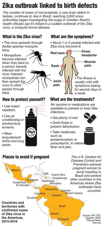 Graphic showing symptoms of the Zika virus. (TNS)