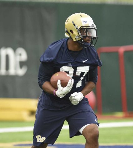 Reigning ACC Offensive Rookie of the Year Qadree Ollison looks like a more dynamic and explosive back than he was as a redshirt freshman in 2015. Matt Hawley / Staff Photographer