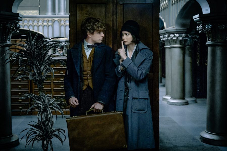 Eddie Redmayne stars in the newest edition of the Harry Potter franchise, Fantastic Beasts and Where to Find Them. TNS