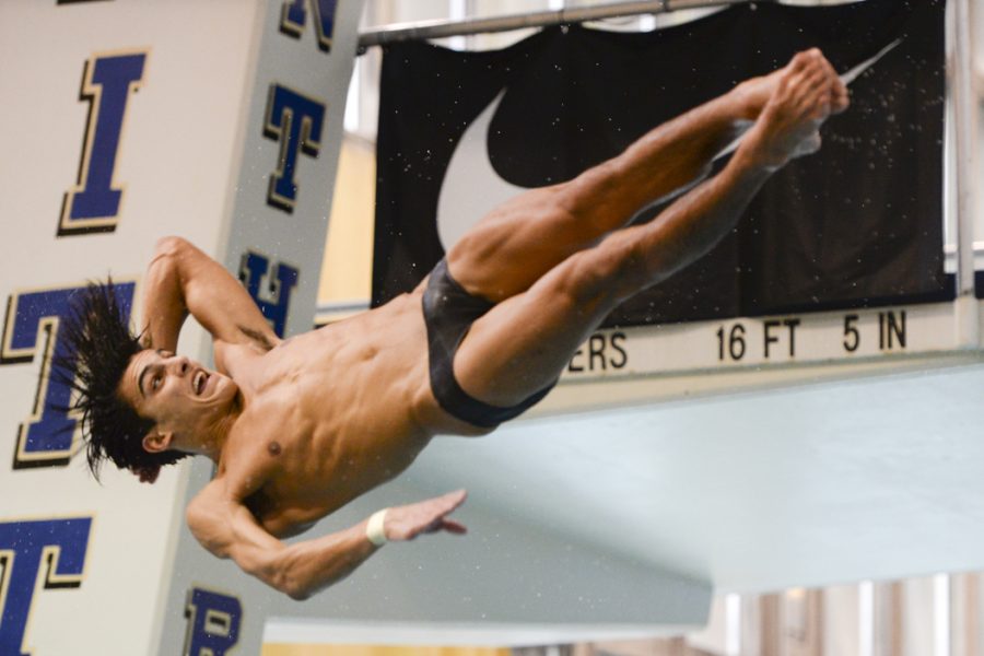 Pitt senior Dominic Giordano set the school record in the 1M dive on Saturday. Jordan Mondell | Contributing Editor