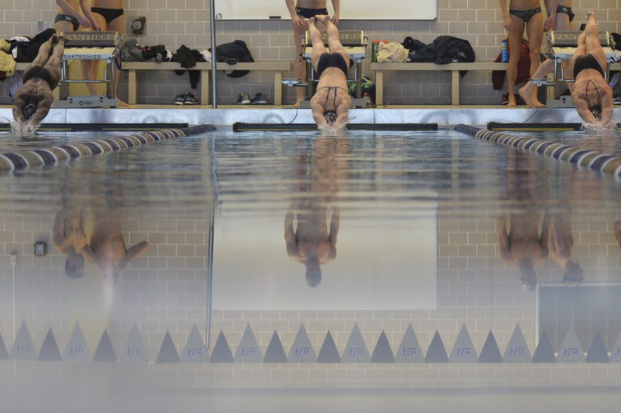 Swimmers dive in for the 50-yard freestyle in Saturday's meet against Florida State. Both Pitt's men's and women's teams lost to the top 25 ranked Florida State teams. John Hamilton|Visual Editor