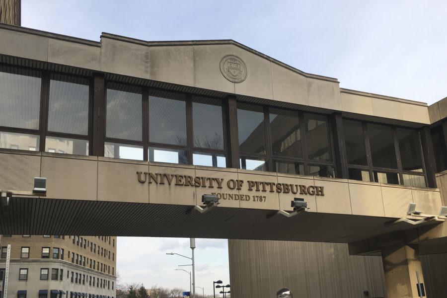 Pitt extended paid parental leave to staff on Wednesday, a benefit faculty has had since 2008. Meghan Sunners | Assistant Visual Editor