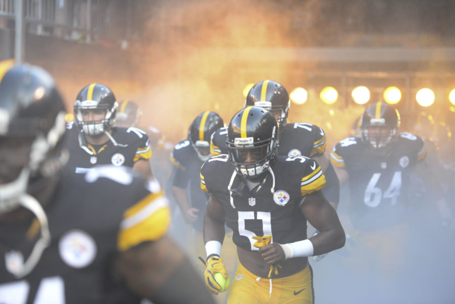 Pittsburghs professional teams, most notably the Steelers, have consistently made it difficult for the Panthers to gain a following amidst years of mediocrity. (Photo by Matt Hawley | Staff Photographer)
