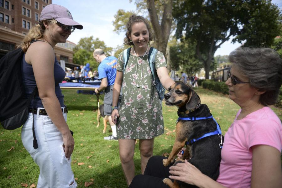 Lisa Farzee attends the Healthy U Fair with her therapy dog, Max. (Photo by Elise Lavallee | Contributing Editor)