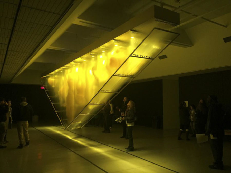 N_Crawl_Caroline Bourque: David Spriggs installation, Gold, was on the Gallery Crawl in January, 2017. (Photo by Caroline Bourque | Assistant News Editor)