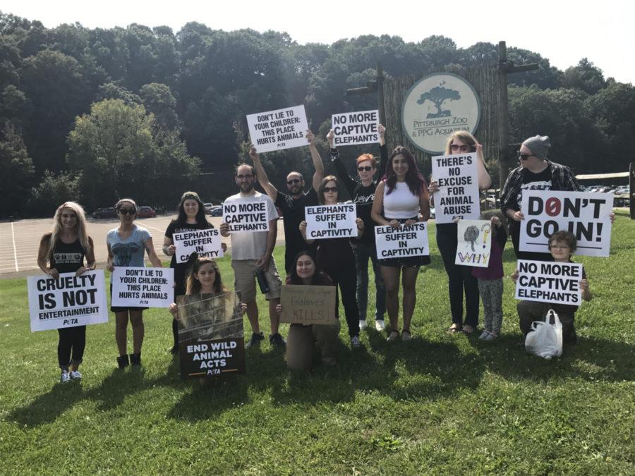 Several people gathered outside the Pittsburgh Zoo Saturday morning in protest of the zoos controversial history of animal welfare. (Photo courtesy of Remy Samuels)