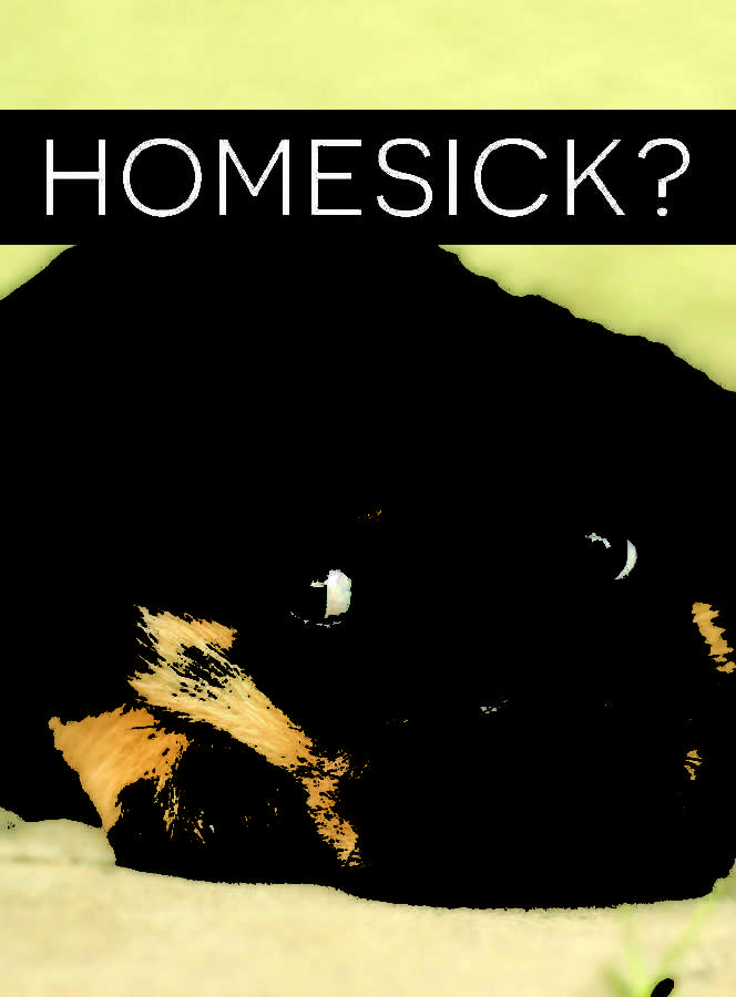 Wellness Wednesday: Homesickness: even when you least expect it