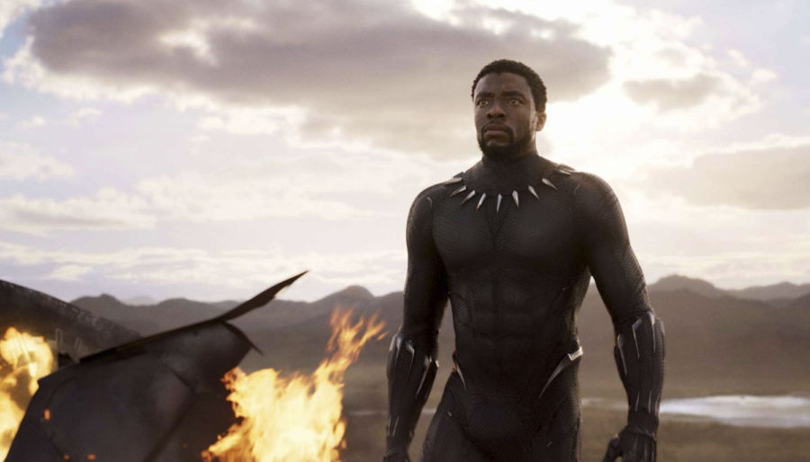 Chadwick Boseman stars in Black Panther. (Marvel Studios/Walt Disney Studios/TNS)