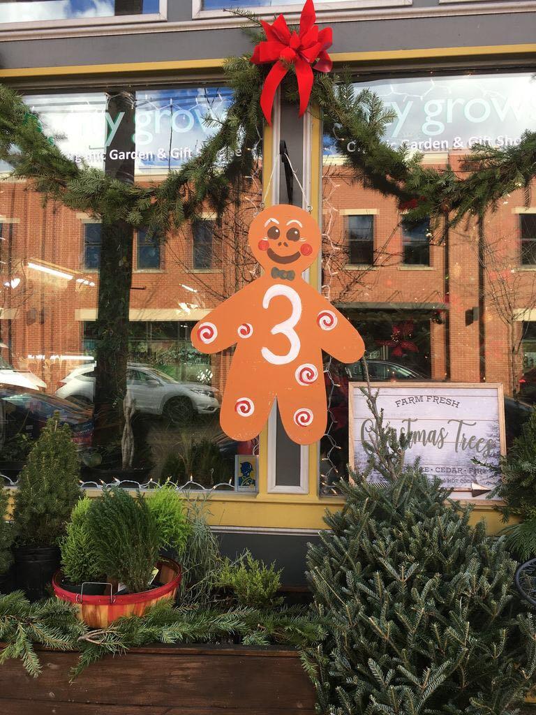 Annual Lawrenceville Cookie Tour brings holiday cheer and sweet treats