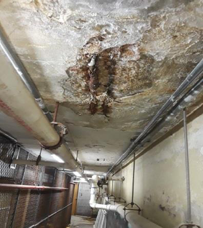Water leaks and intrusions - Macdonough Hall - exposed metal rebar. From the Naval Audit Service - Audit Report - Sufficiency of United States Naval Academy Infrastructure 7 June 2018. 