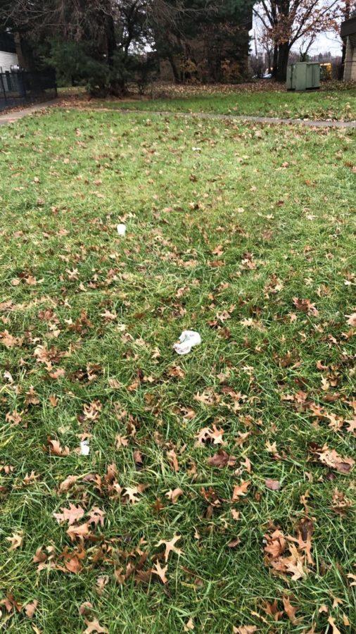 Litter, like the wrappers pictured on a lawn here, isn't hard to find in Rankin -- but the borough is taking steps to beautify itself. 