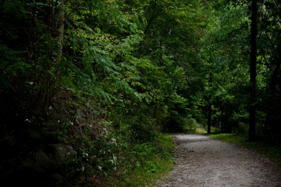 Schenley Park’s trails are popular routes for runners.