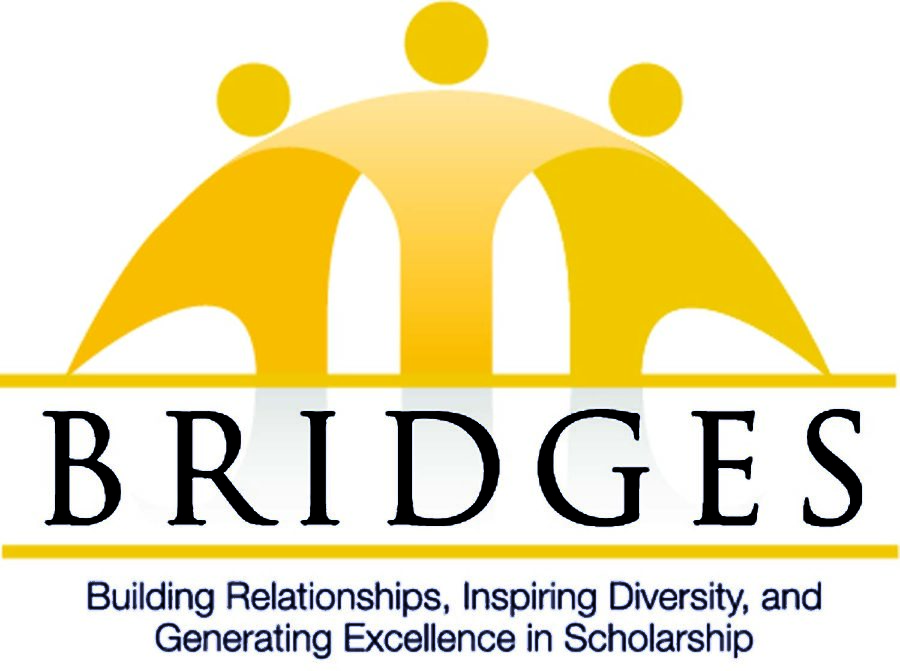 The Pitt BRIDGES program connects scholarship recipients from underrepresented minority groups to the Pitt community.
