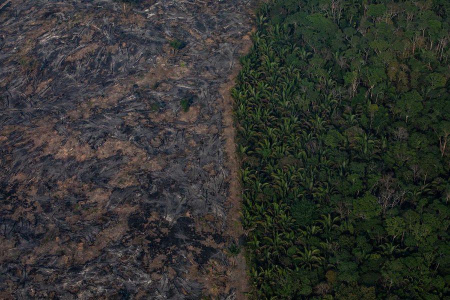 In this aerial image, A section of the Amazon rainforest that has been decimated by wildfires on August 25 in the Candeias do Jamari region near Porto Velho, Brazil. According to INPE, Brazils National Institute of Space Research, the number of fires detected by satellite in the Amazon region this month is the highest since 2010. 