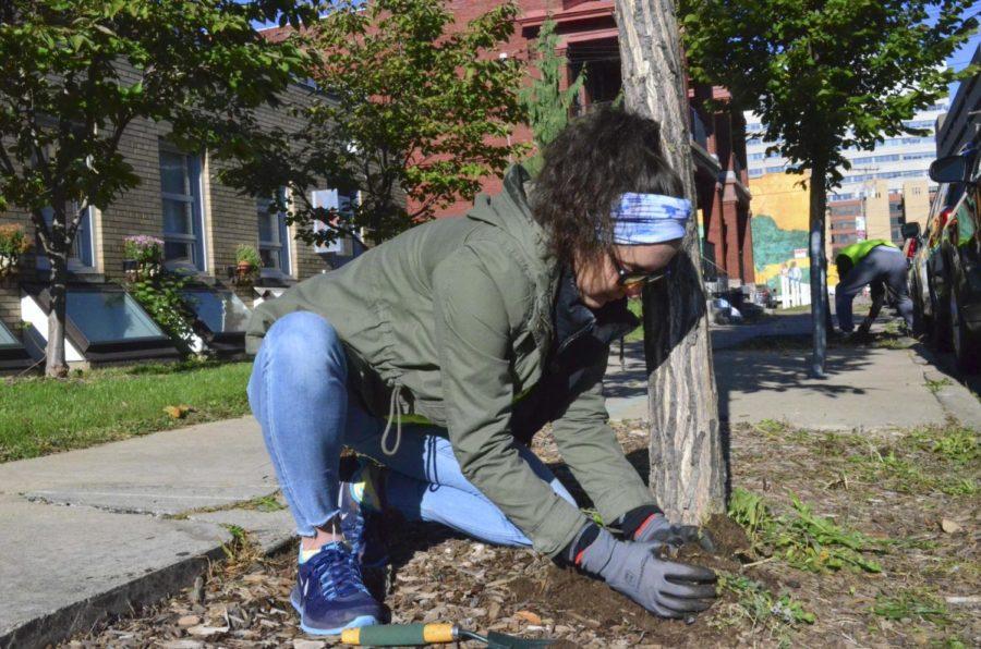 Junior nursing major Ashley Van Slyke helps with landscaping outside the Oakland Career Center as a part of Pitts 2019 Make a Difference Day. 