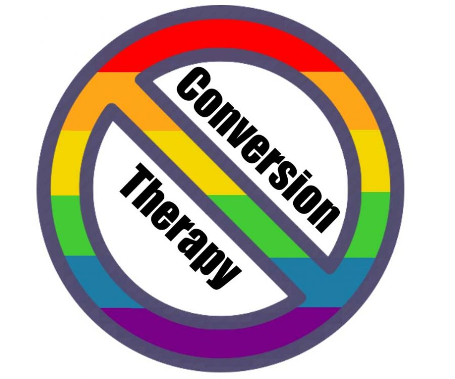 Opinion | It’s 2020 and it’s time to outlaw conversion therapy