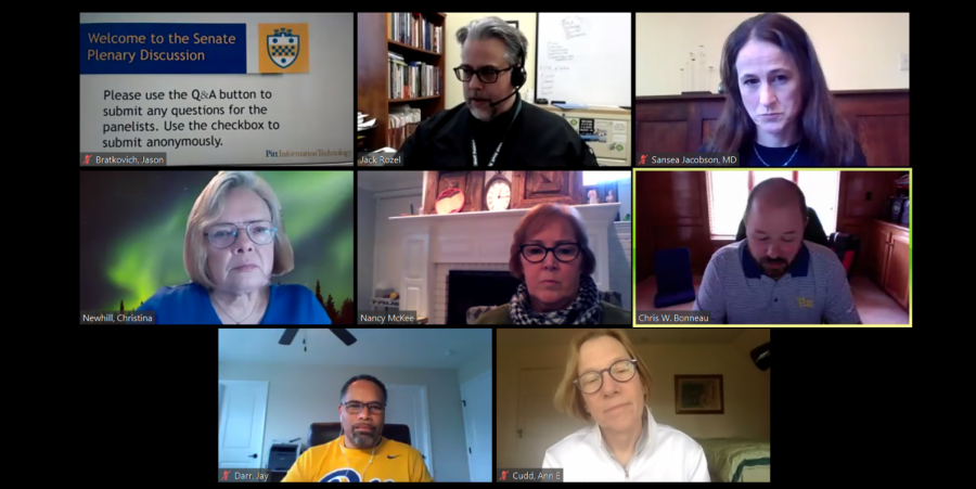 The University Senate held a panel discussion on mental health in academic life during the COVID-19 pandemic Thursday afternoon via Zoom. 