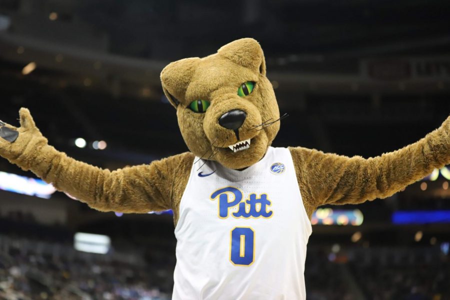 Pitt Athletics announced Tuesday that five other Panther teams will return on June 29. 