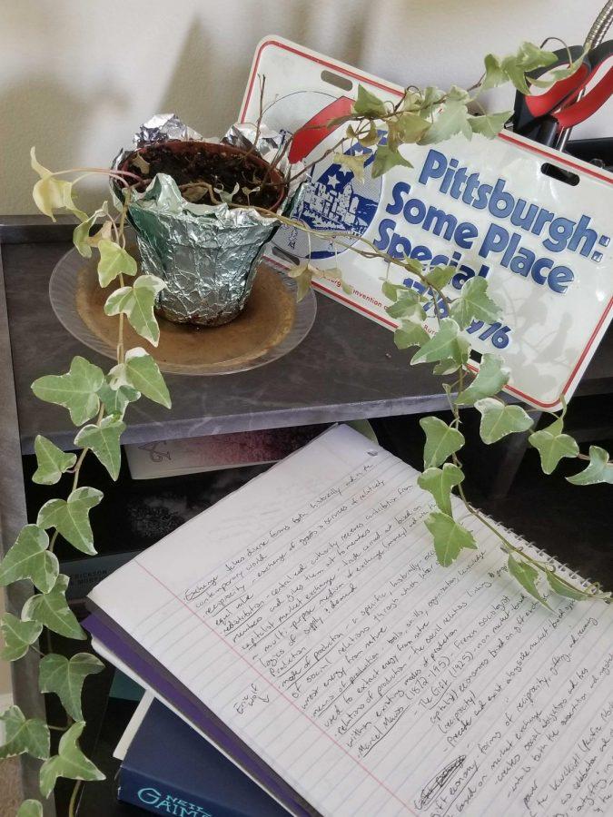 A house plant sits on a college student’s desk.