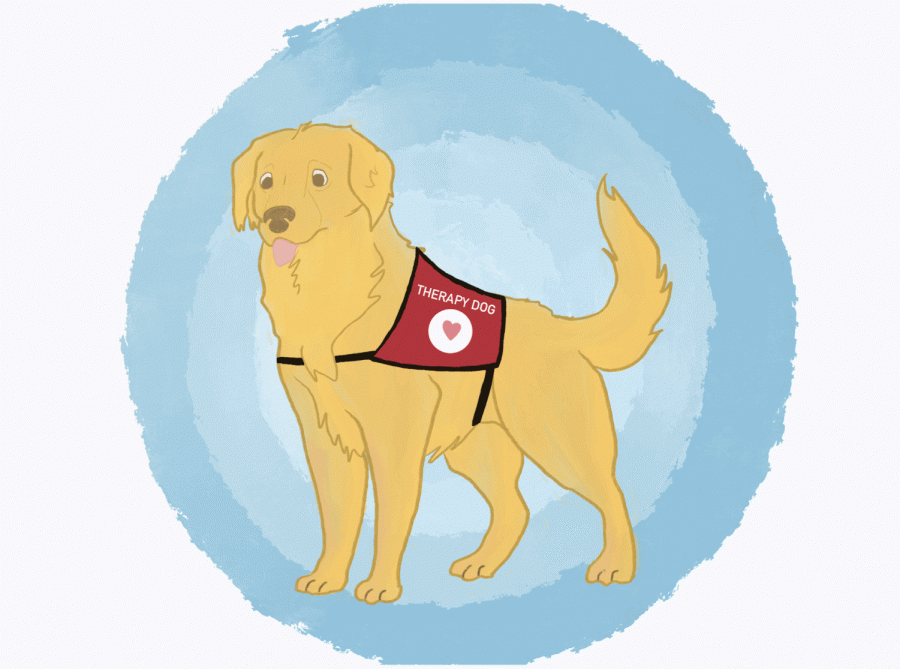 Satire | Nine problems therapy dogs can’t fix