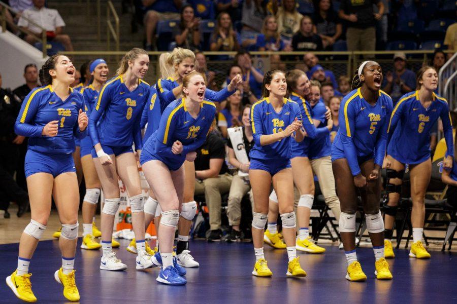 The Division I Women’s Volleyball Committee rewarded Pitt (16-4, 14-4 ACC) for its strong conclusion to the regular season, selecting the Panthers to their fifth straight NCAA tournament appearance. Pitt will meet Northeast Conference champion Long Island University (8-5, 8-4 NEC) in its first-round matchup on Wednesday, April 14, at 10:30 p.m. 