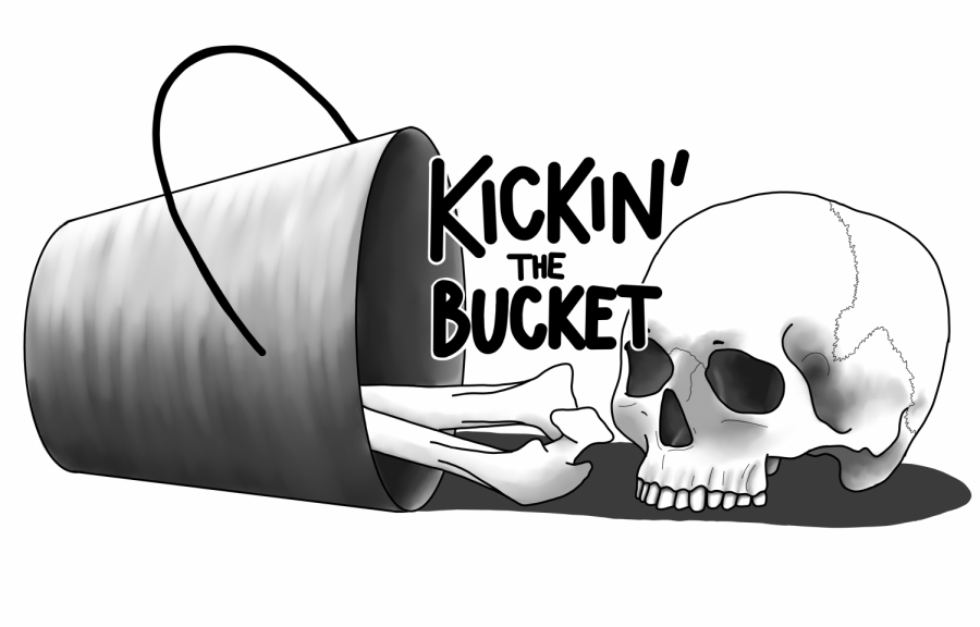 Kickin’ the Bucket | My cat kicked the bucket