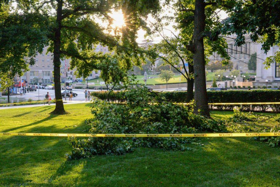 The fallen tree limb on the Cathedral lawn Tuesday evening.
