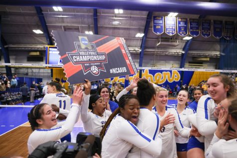 Pitt volleyball players celebrate after defeating Purdue and earning a spot in the Final Four of the NCAA womens volleyball championships.