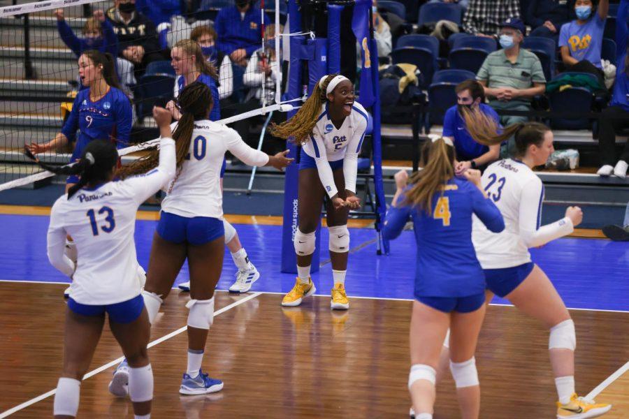 Pitt volleyball celebrates during Thursday afternoons Sweet 16 match against Kansas at Fitzgerald Field House.  