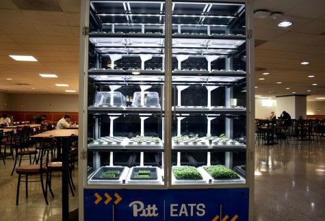 Pitt recently installed eco-friendly “Babylon Micro-Farms” to dining halls in an effort to foster a more sustainable dining experience. 