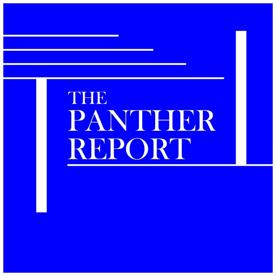 The Panther Report | Pittsburgh Bridges