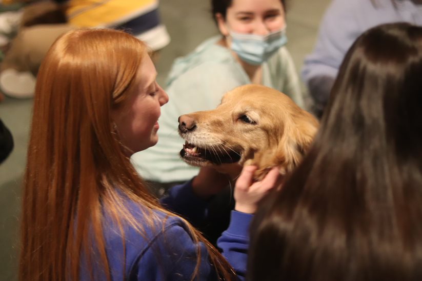 Pitt students pet therapy dogs in the Cathedral of Learning in March. 
