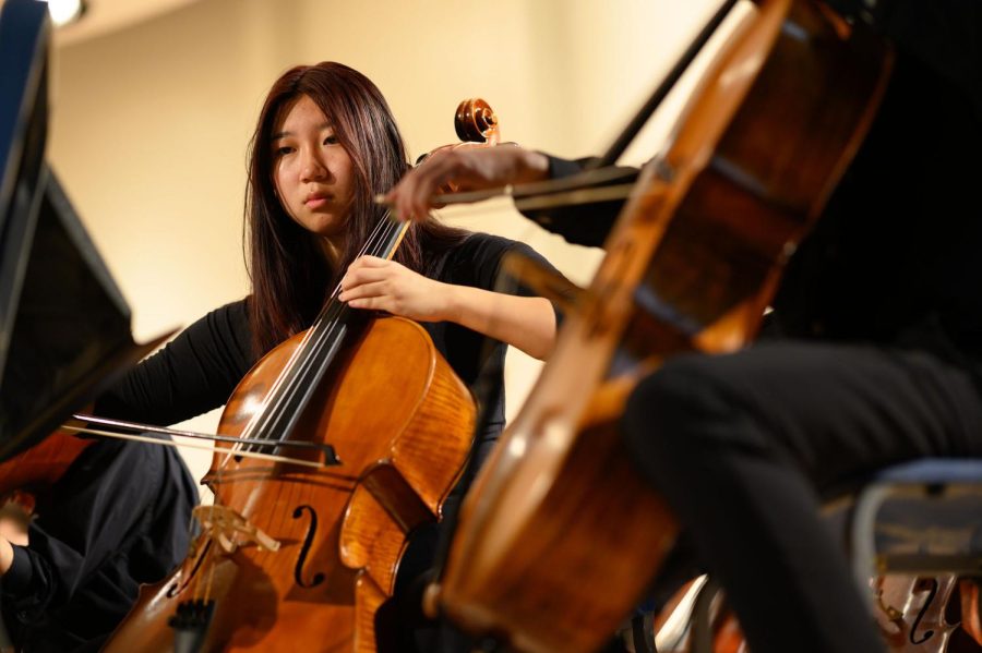 A+cellist+plays+during+Wednesday%E2%80%99s+symphony+orchestra+concert+in+the+Bellefield+Hall+auditorium.+%0A