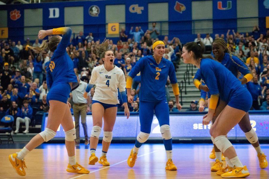 Pitt volleyball players celebrate after their win against Louisville on Sunday.