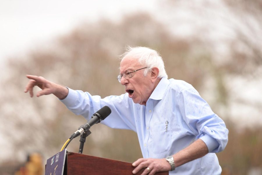 Bernie+Sanders+speaks+to+a+crowd+gathered+in+Schenley+Plaza+Sunday+afternoon.+%0A