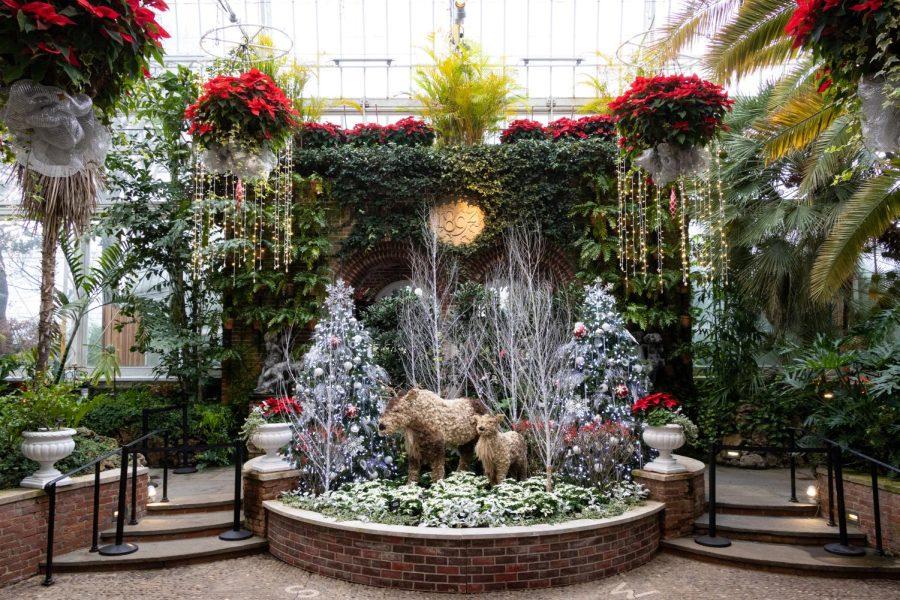 Phipps Conservatory decorated for its Winter Flower Show and Light Garden.