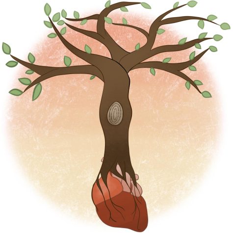 Opinion | Donate your organs and become a tree