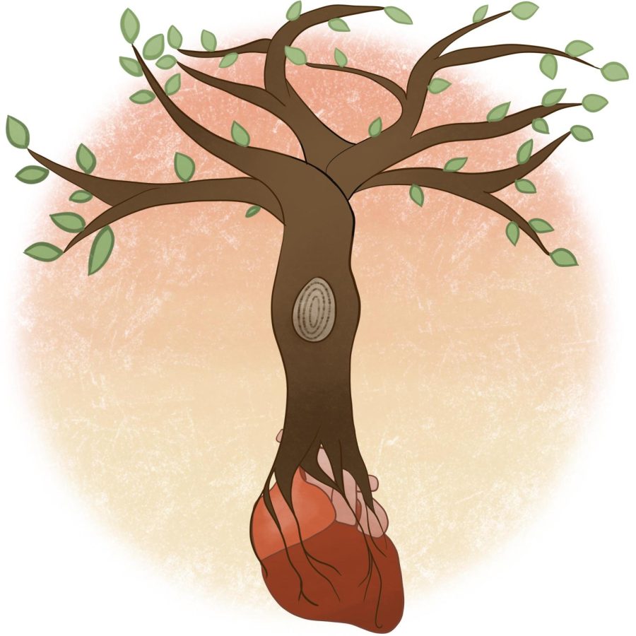 Opinion+%7C+Donate+your+organs+and+become+a+tree
