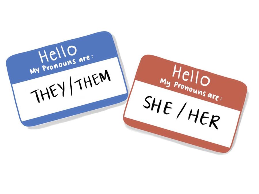 Opinion | Stop only asking people to respect pronouns