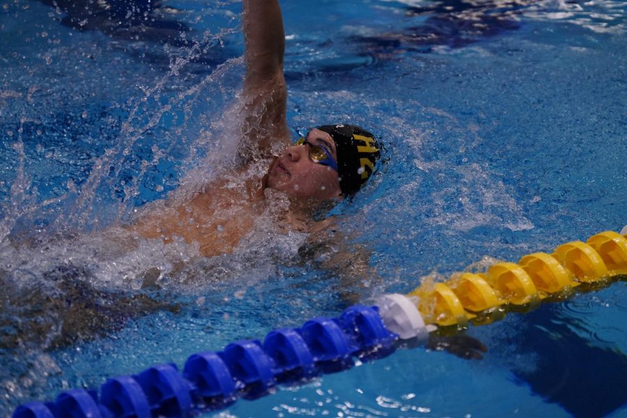 A Pitt swimmer competes during the Western PA Invite this weekend.