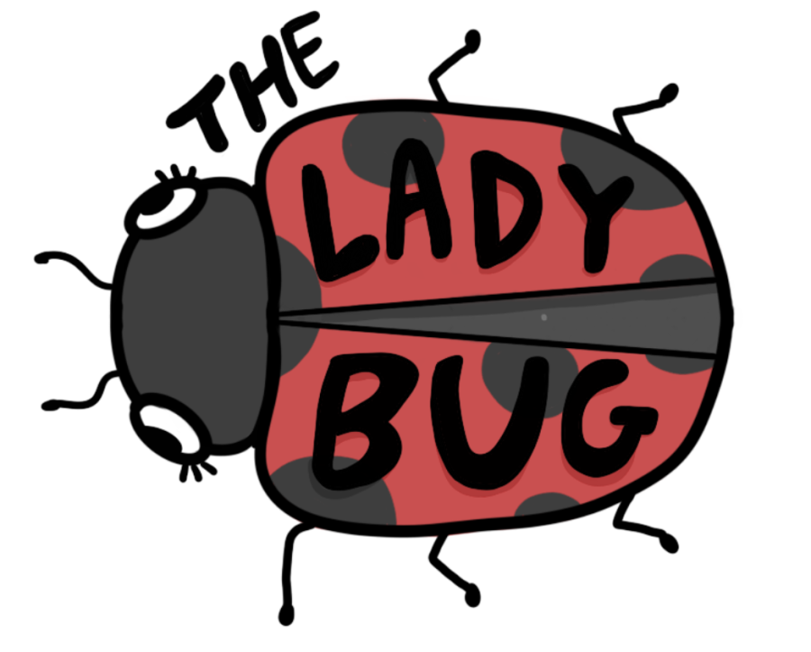 The+Ladybug+%7C+One+of+these+is+not+like+the+others
