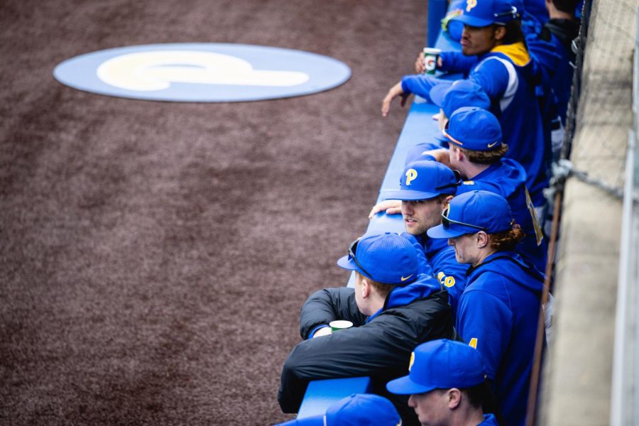 Pitt baseball players stand in the dugout during a game against Virginia Tech on Friday at the Petersen Sports Complex.