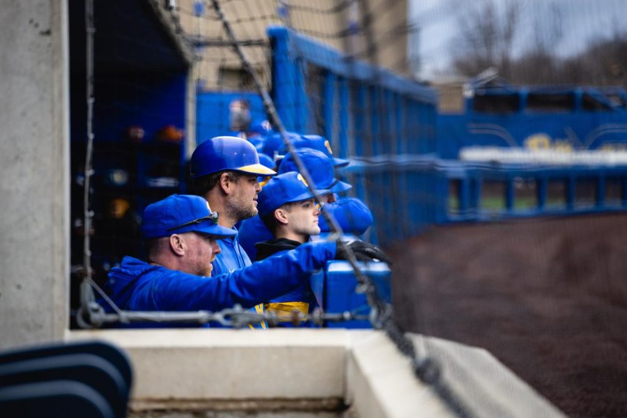 Pitt baseball players stand in the dugout during a game against Virginia Tech on March 24.