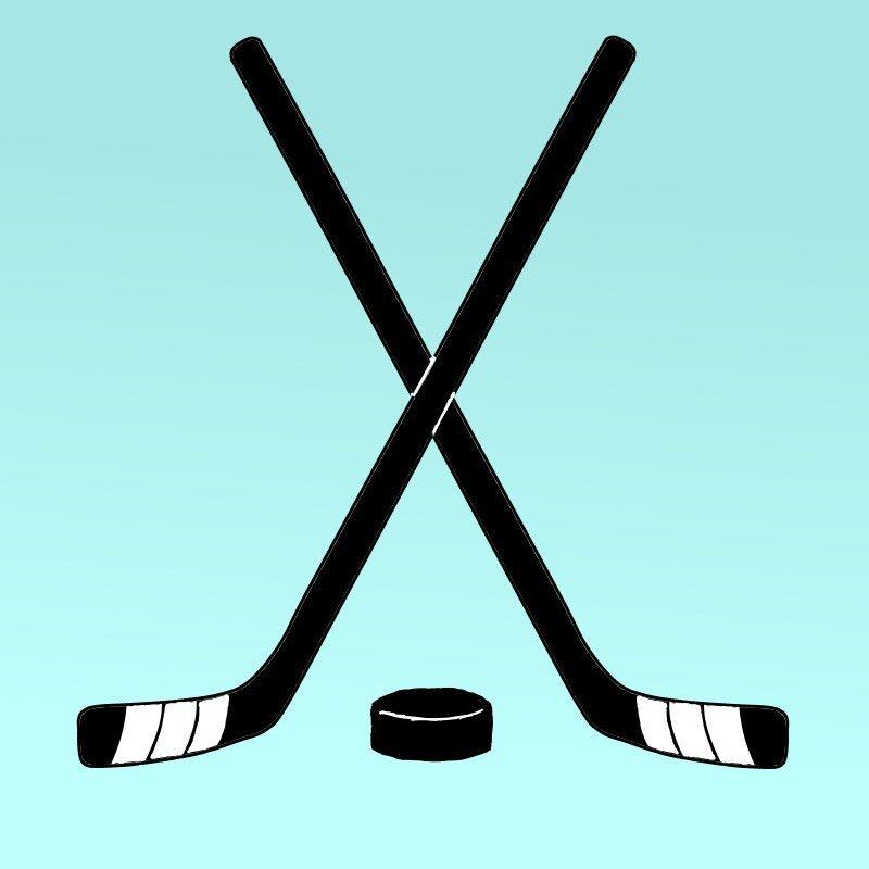 Opinion | Hockey Needs to Change
