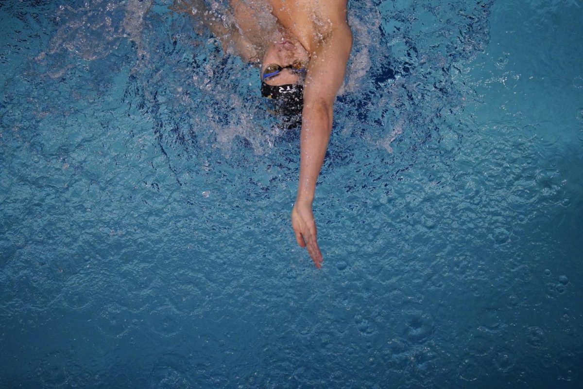 A Pitt swimmer competes during the Western PA Invite on Jan. 29.
