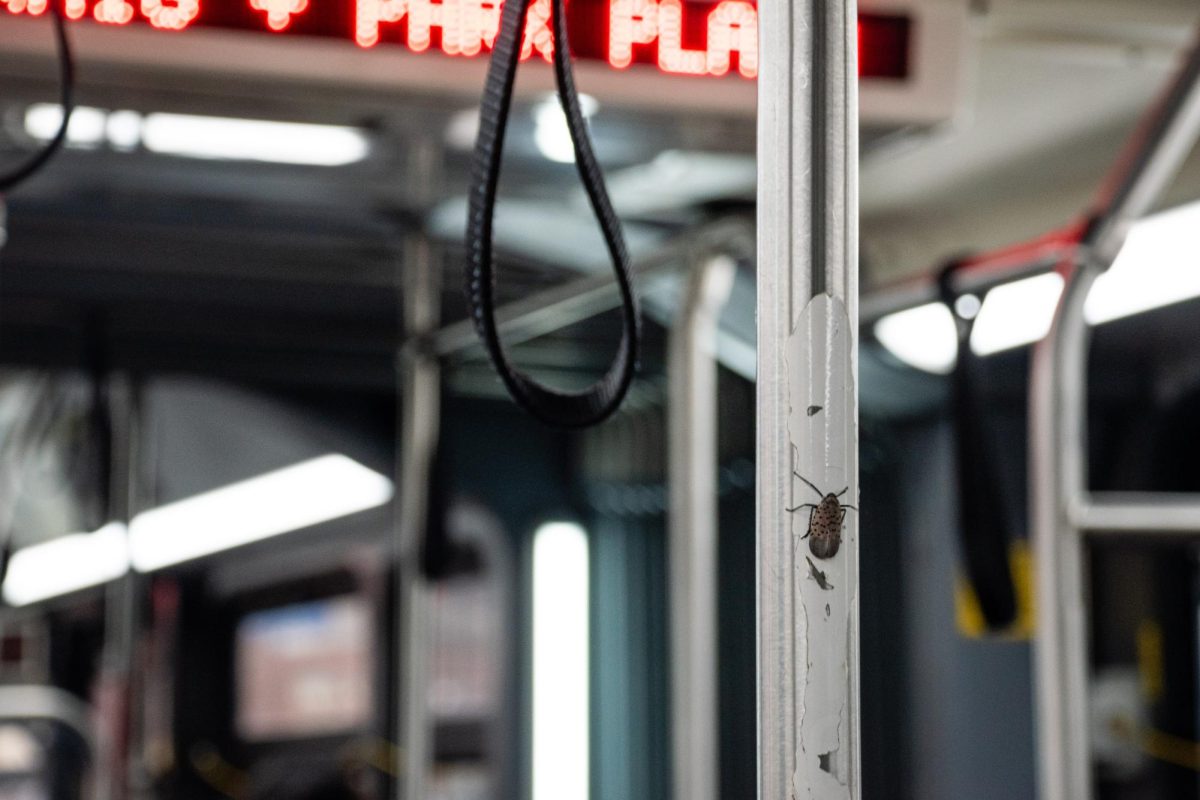 A lanternfly takes a ride on a Pittsburgh Regional Transit bus in Oakland.