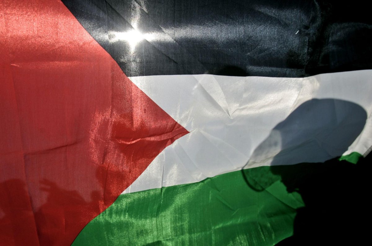 A Palestinian demonstrator, unseen, holds his national flag next to Israeli soldiers, during a demonstration against Israels separation barrier in the West Bank village of Bilin, near Ramallah, Friday Jan. 18, 2008.