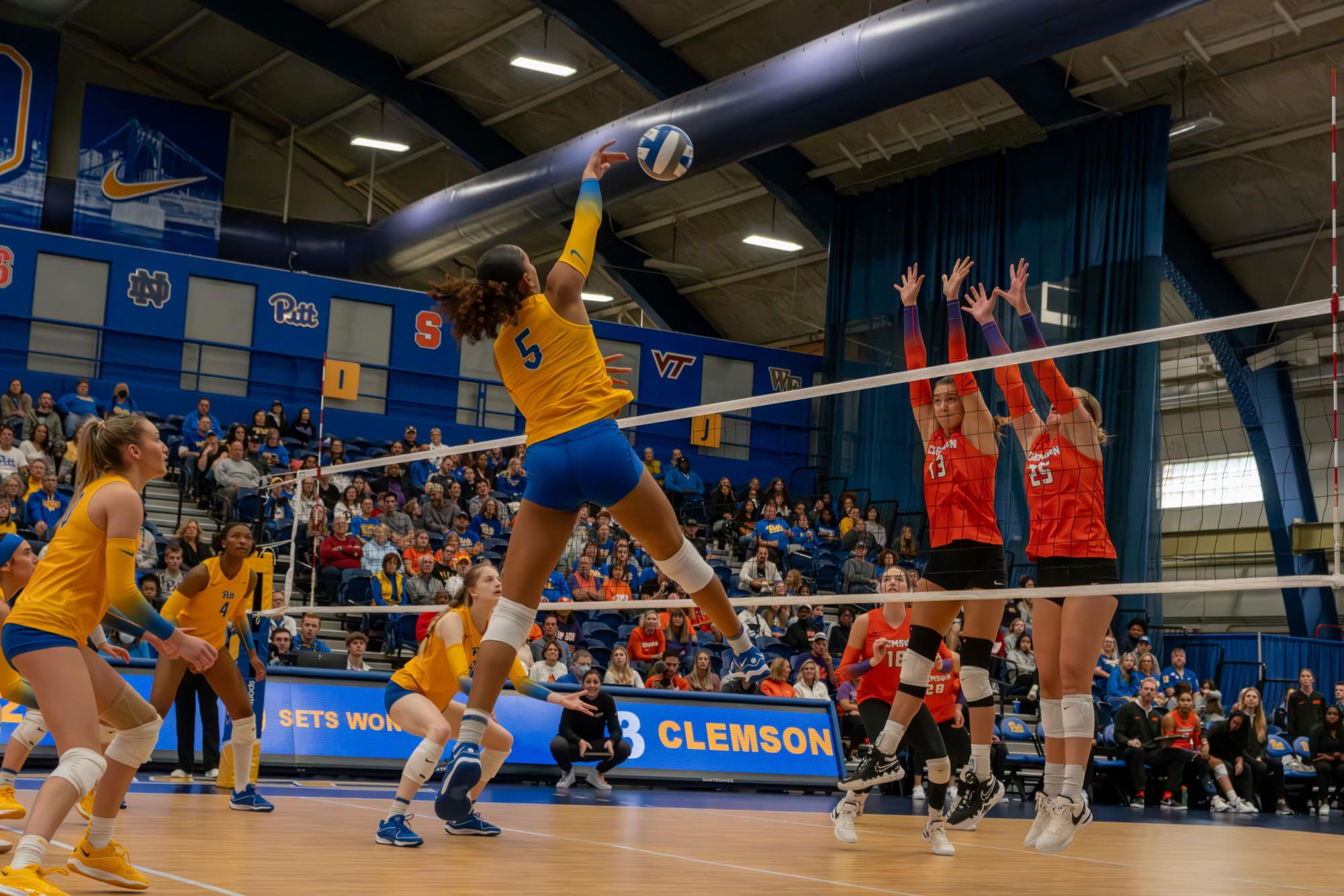 Who won store women's volleyball